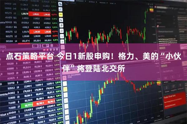 点石策略平台 今日1新股申购！格力、美的“小伙伴”将登陆北交所