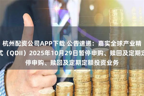 杭州配资公司APP下载 公告速递：嘉实全球产业精选混合发起式（QDII）2025年10月29日暂停申购、赎回及定期定额投资业务