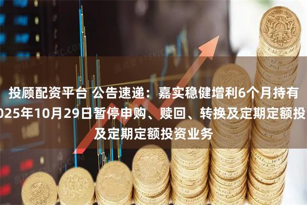 投顾配资平台 公告速递：嘉实稳健增利6个月持有混合2025年10月29日暂停申购、赎回、转换及定期定额投资业务