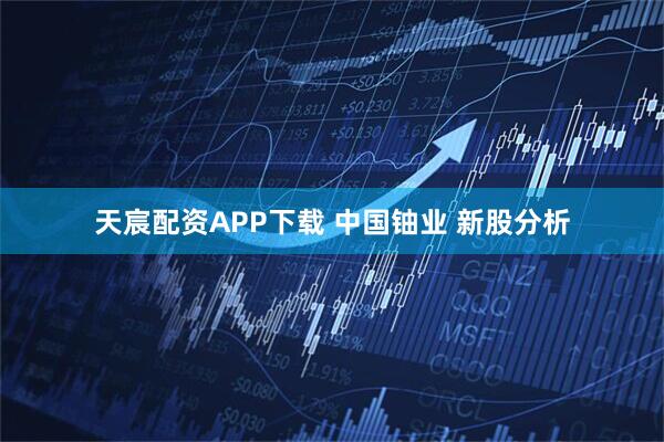 天宸配资APP下载 中国铀业 新股分析
