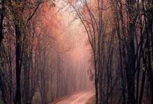 炒股配资交流:炒股配资咨询-特朗普：美军发动打击 致11人死亡！马杜罗称委内瑞拉面临百年“最大威胁” 委防长：来了就打